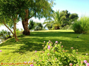 �ppiger tropischer Garten