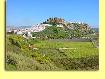 Altstadth&uuml;gel Salobrenas mit maurischer Burg